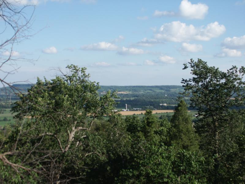 Panorama