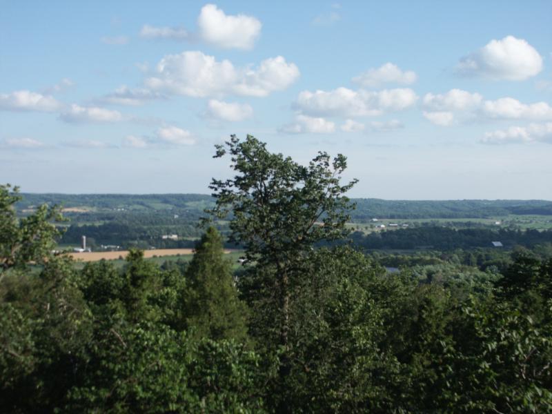 Panorama