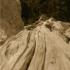 Weathered wood