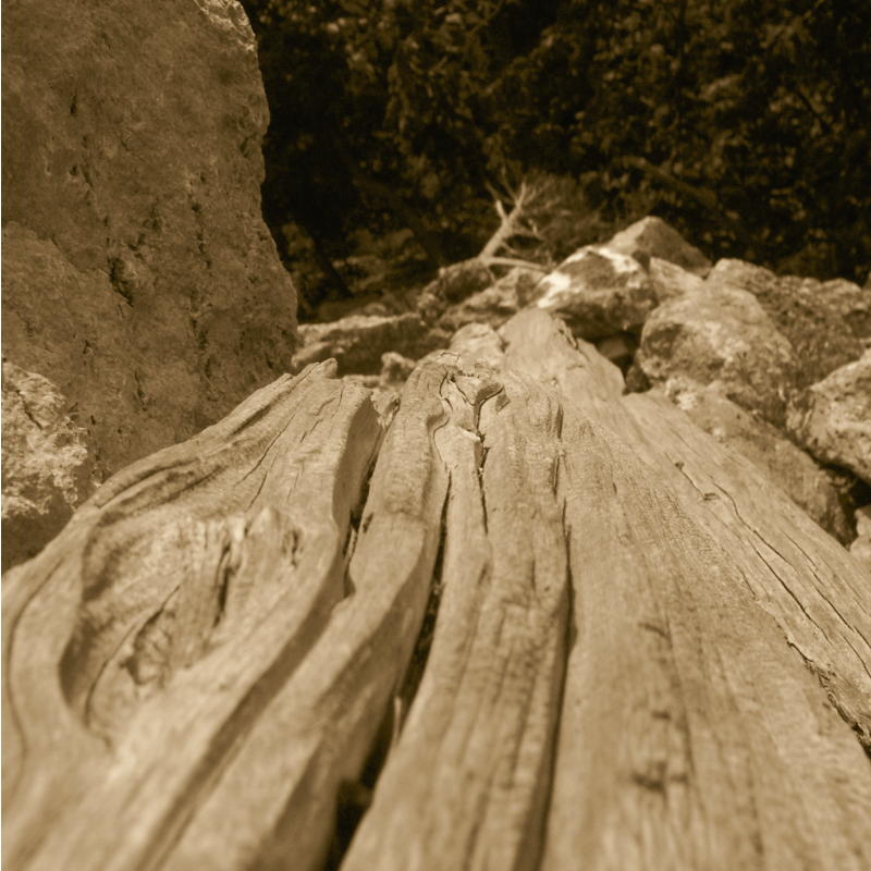 Weathered wood