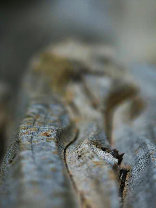 Weathered wood
