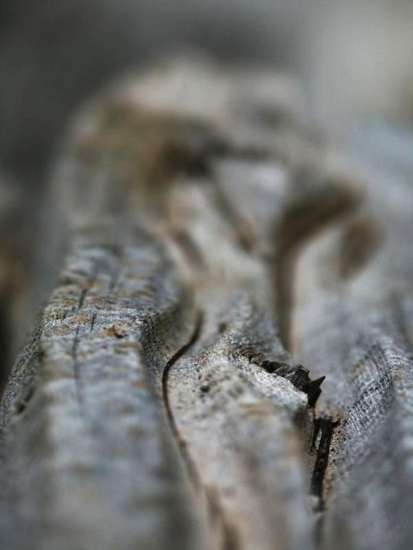 Weathered wood