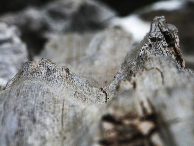 Weathered wood