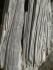 Weathered wood