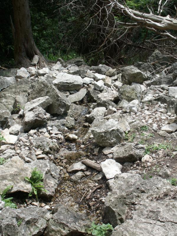 Small stream flowing from spring