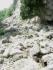 Rubble and cliff
