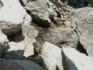 Tiny stream