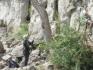 Rattlesnake Point