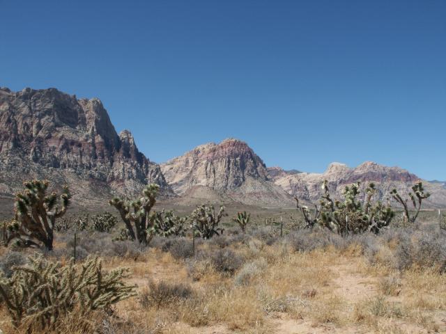 Mount Wilson and Rainbow Mountain