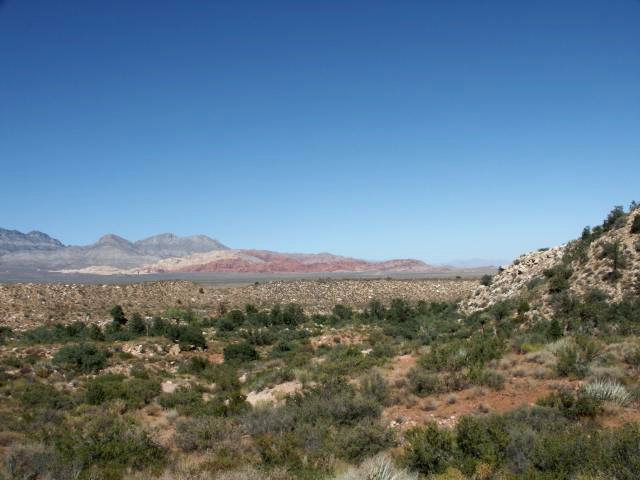 Red Rocks