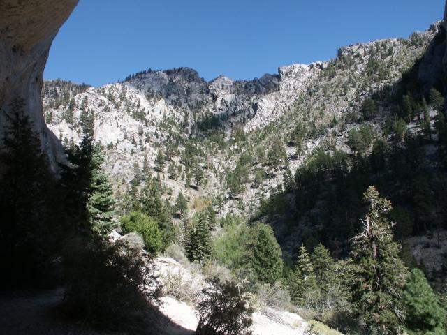 View at Mt. Charleston