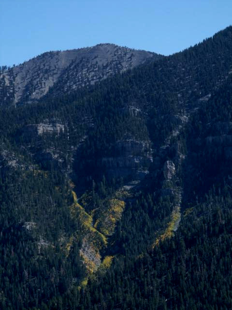 View at Mt. Charleston