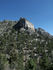 View at Mt. Charleston