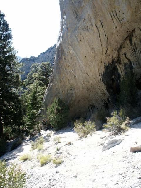 Toro warms up on a 5.12c