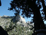 View at Mt. Charleston