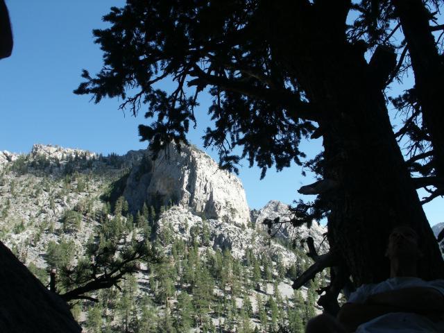 View at Mt. Charleston