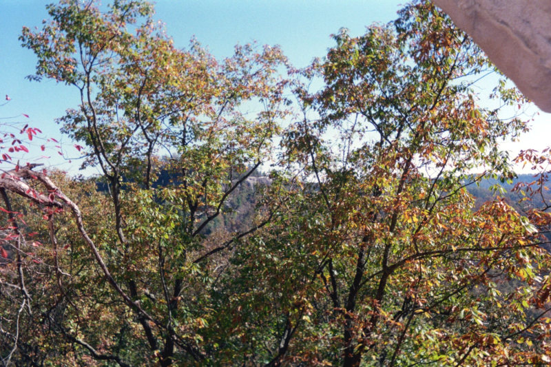 pict008