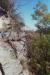 pict009.jpg
