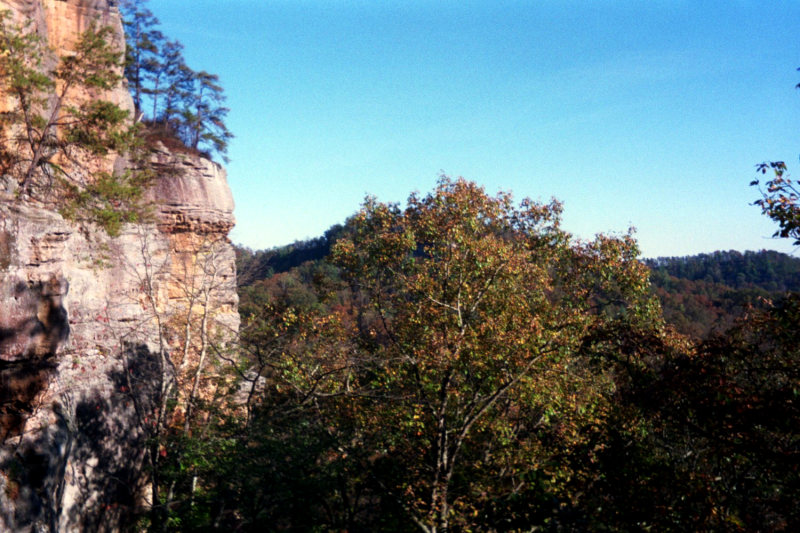 pict015