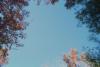 pict031.jpg