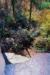 pict046.jpg