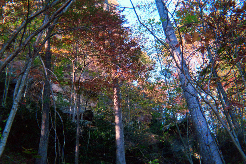pict053