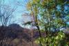 pict057.jpg