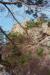 South peak