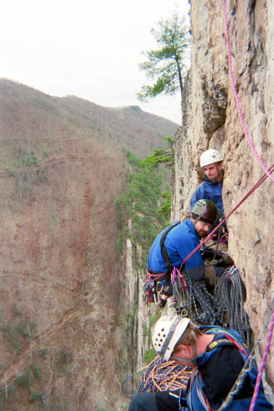 Busy ledge (south)