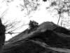 pict4376.jpg
