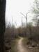pict2194.jpg
