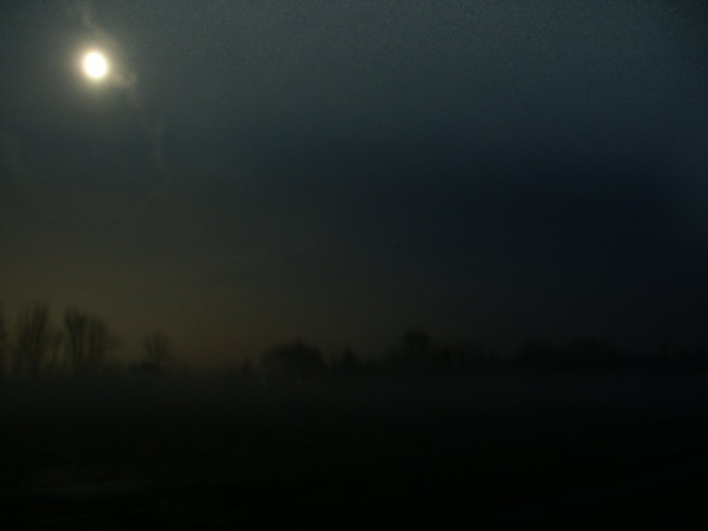 pict1875.jpg