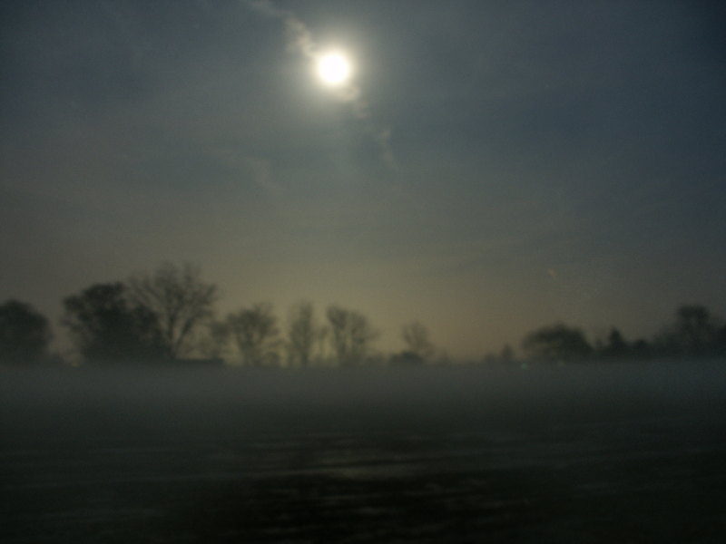 pict1878.jpg