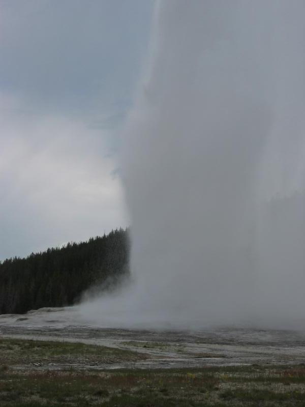 img_3195