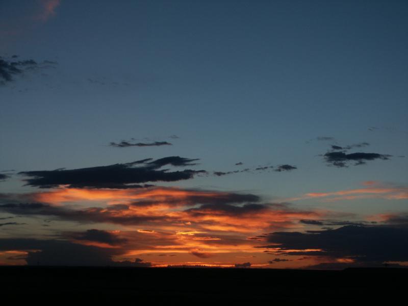 pict5029