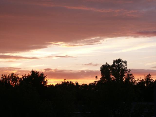 pict5063