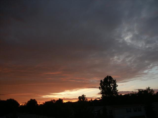 pict5064