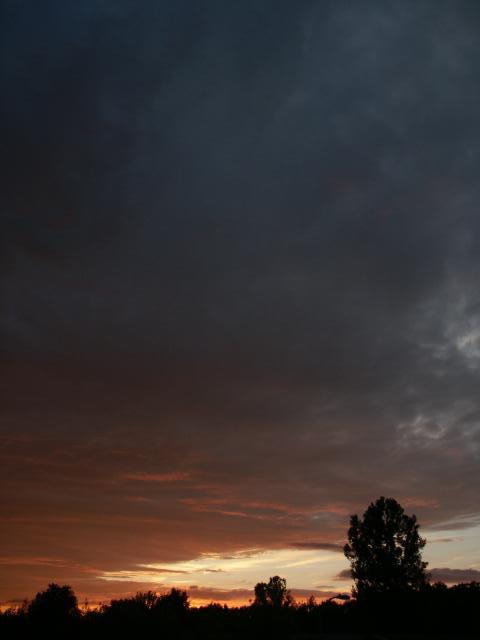 pict5065