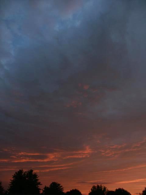 pict5067