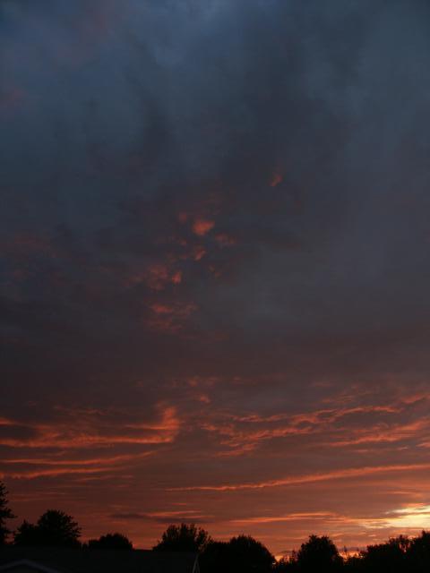 pict5069