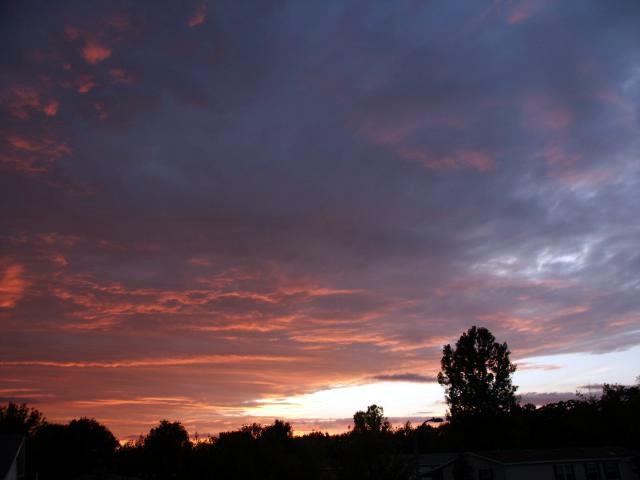 pict5070