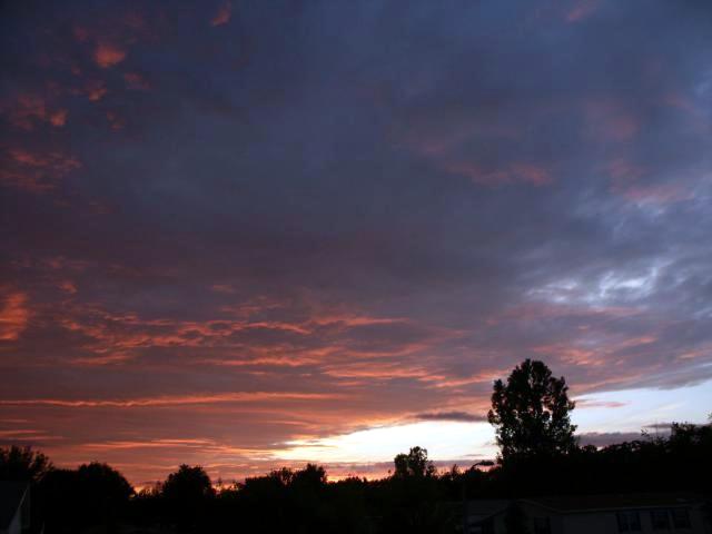 pict5071