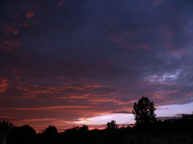 pict5072