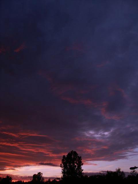 pict5075