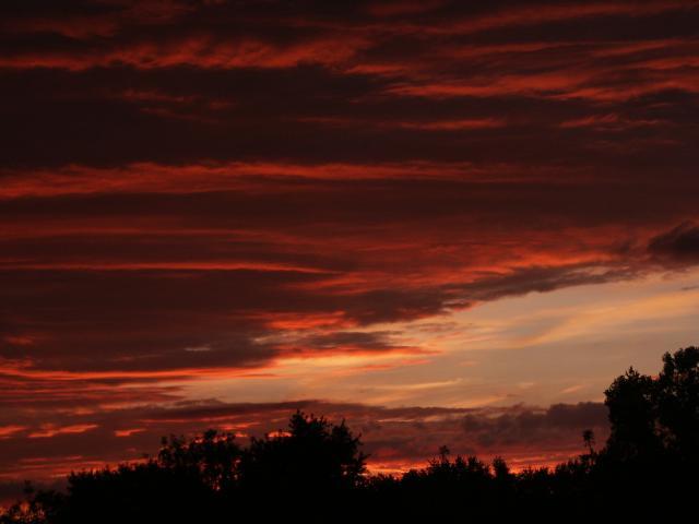 pict5076