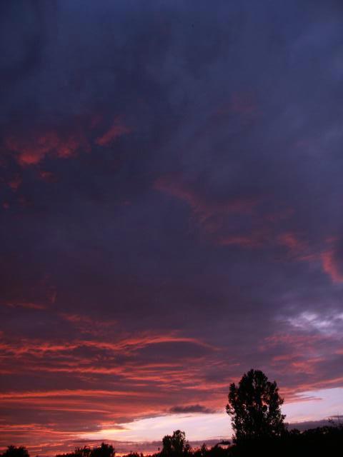 pict5077