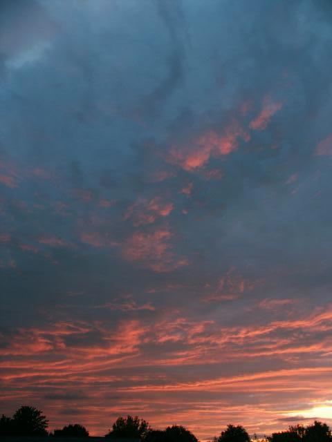 pict5078