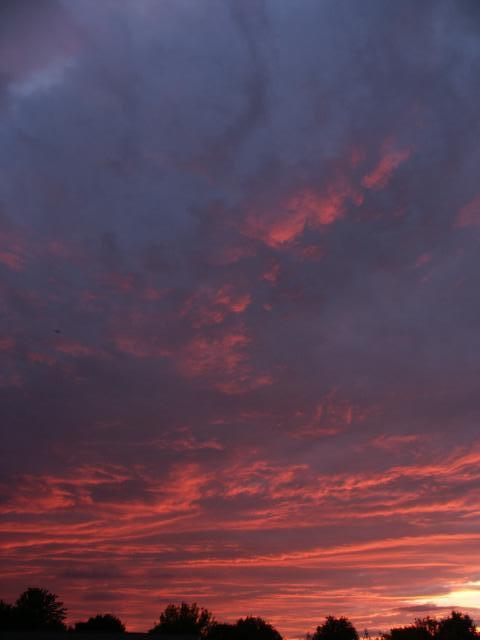 pict5079