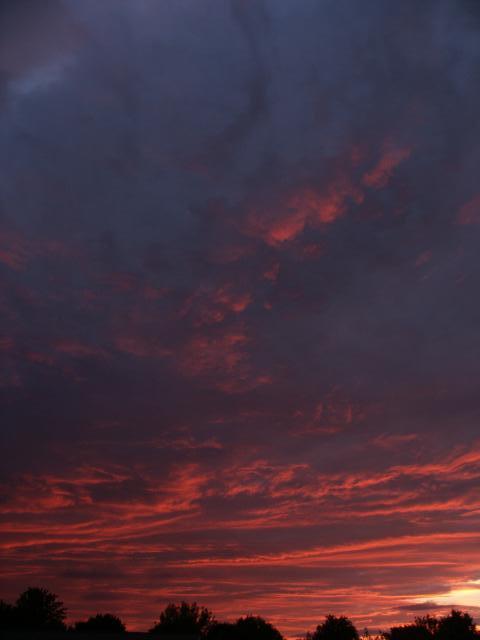 pict5080.jpg