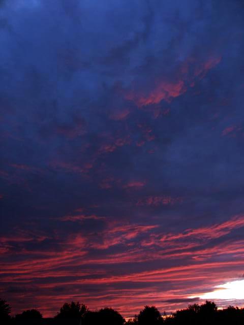 pict5084
